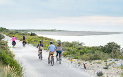 Le Blog du Panda 7 Circuits de vélos en Normandie