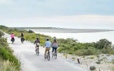 Circuits de vélos en Normandie